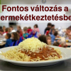 Fontos változások a gyermekétkeztetésben!